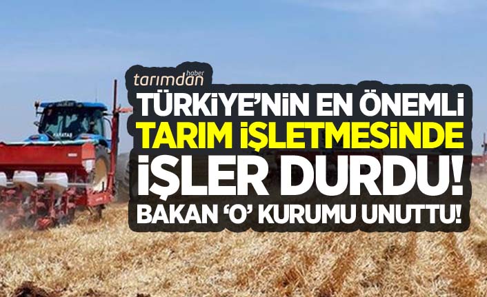Tarım Bakanı Türkiye'nin en önemli tarım işletmesini unuttu! Kurumda bütün işler durdu!