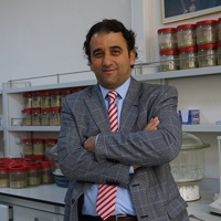 Prof. Dr. Nurettin Gülşen